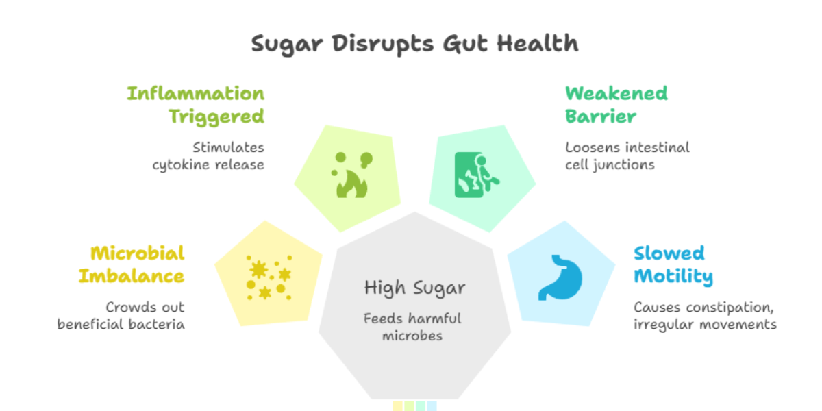 Sugar and Gut Health